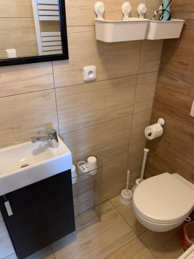 Privat Zelezny Brod Apartment Luaran gambar