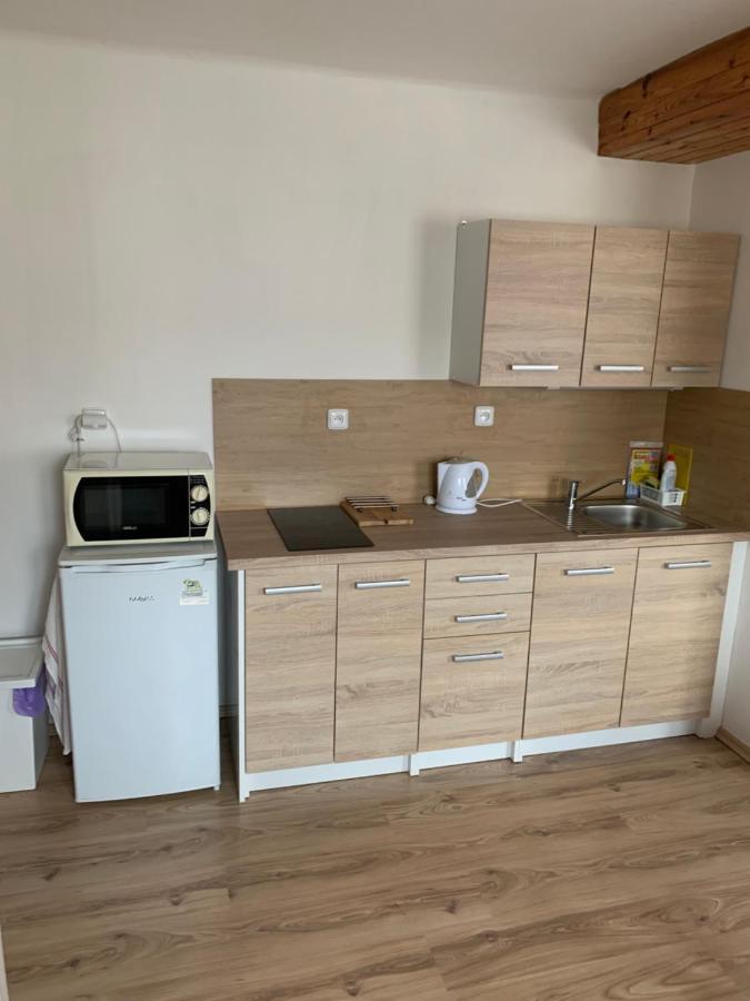 Privat Zelezny Brod Apartment Luaran gambar