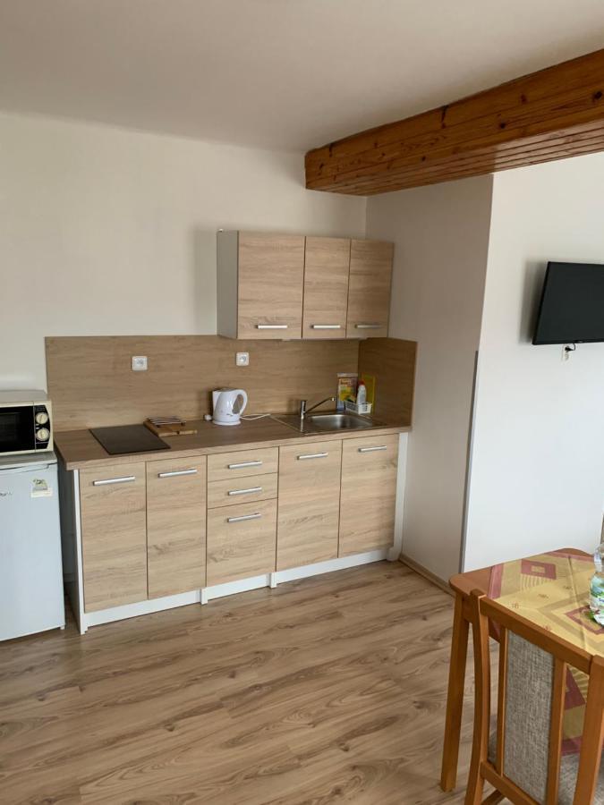 Privat Zelezny Brod Apartment Luaran gambar